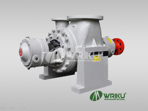 BS Series Suction Pump