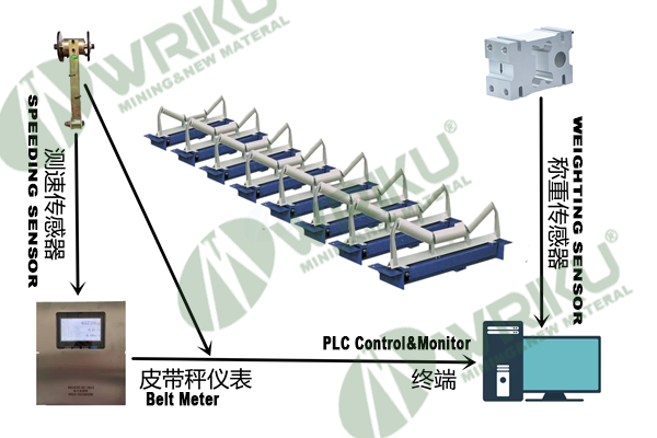 WRKU Array Type High-precision Belt Scale