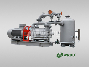 SK Liquid-Ring Vacuum Pump