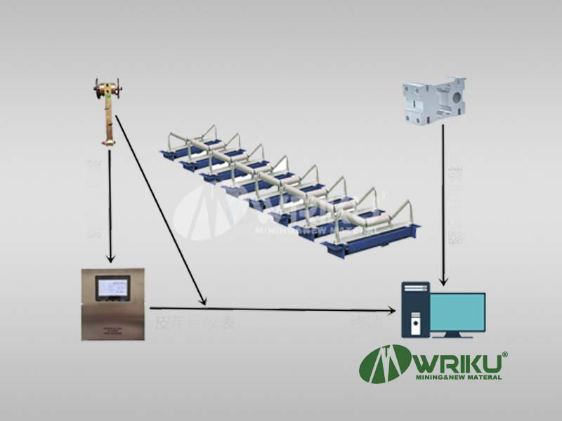 WRKU Array Type High-precision Belt Scale